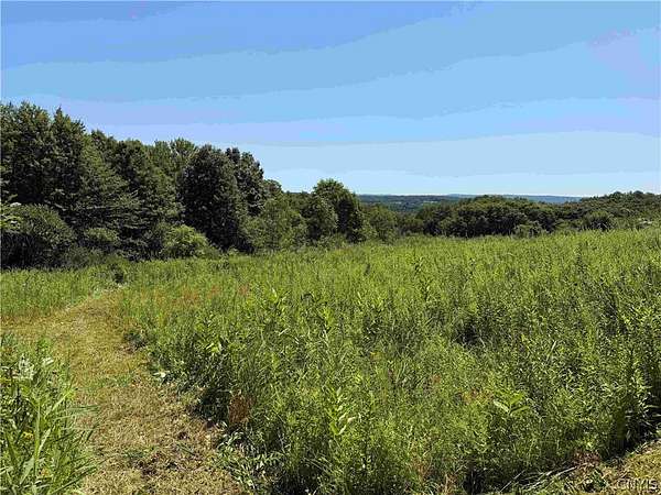 23 Acres of Recreational & Residential Land for Sale in South Dayton, New York