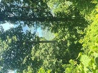 1.57 Acres of Land for Sale in Almond, North Carolina