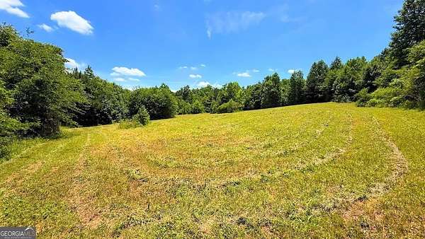 11 Acres of Land for Sale in Bremen, Georgia