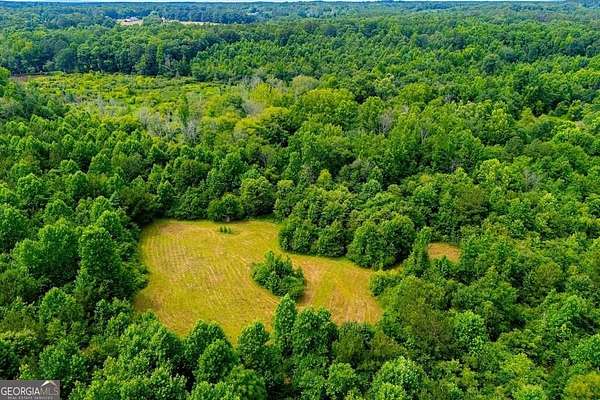 11 Acres of Land for Sale in Bremen, Georgia