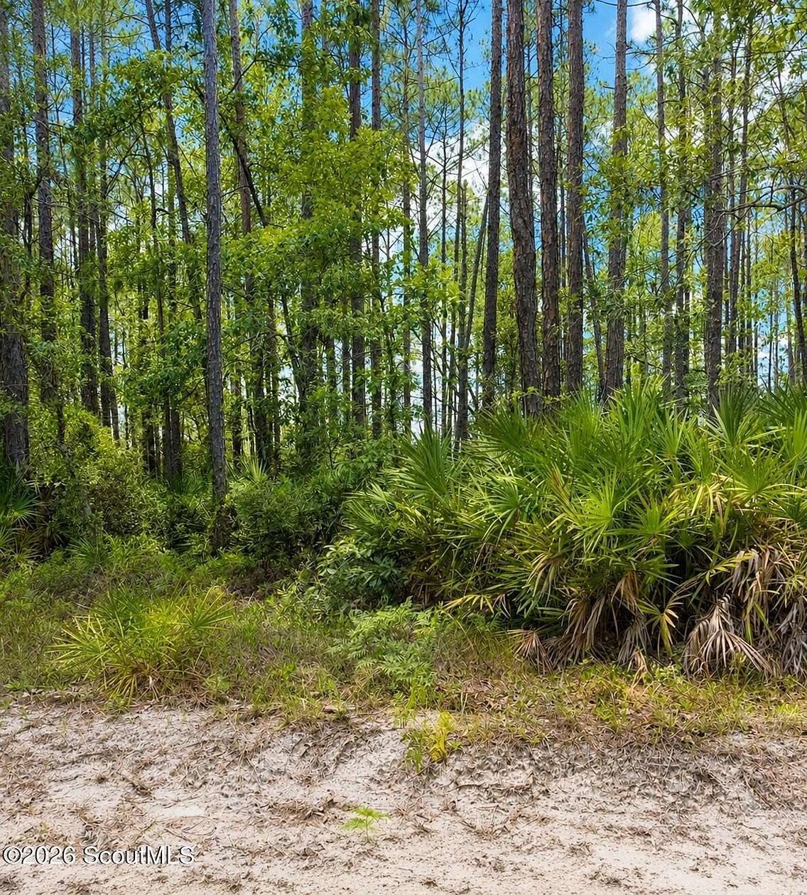 1 Acre of Land for Sale in Nahunta, Georgia