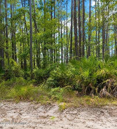 1 Acre of Land for Sale in Nahunta, Georgia