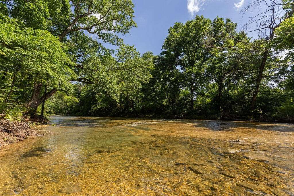 325 Acres of Land for Sale in Chadwick, Missouri