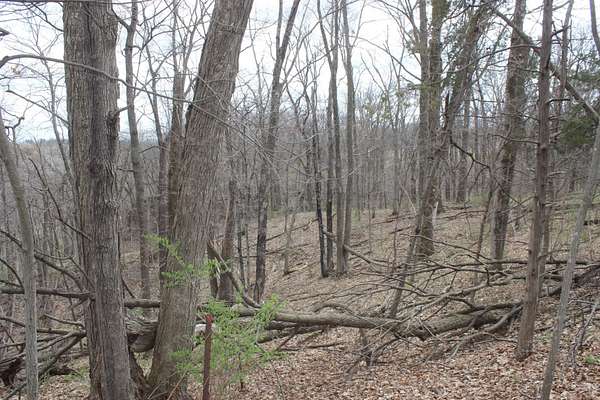 25.6 Acres of Land for Sale in Maquoketa, Iowa