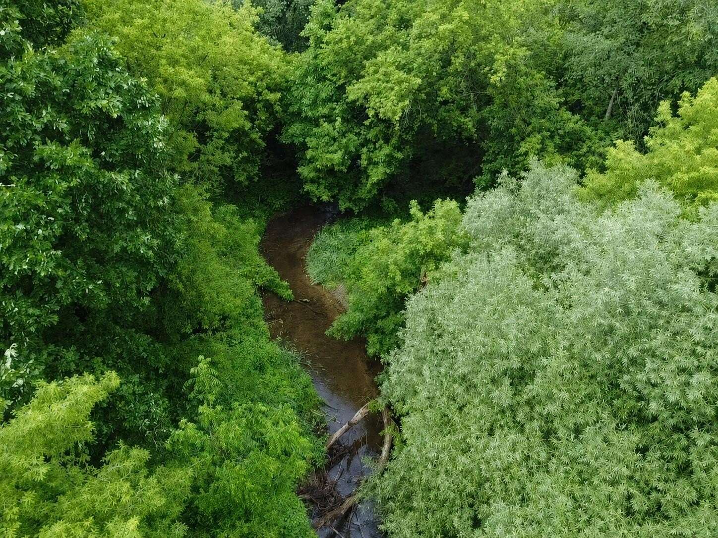 7.57 Acres of Residential Land for Sale in Almont, Michigan