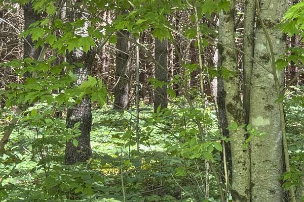 2.5 Acres of Residential Land for Sale in Hope, Maine