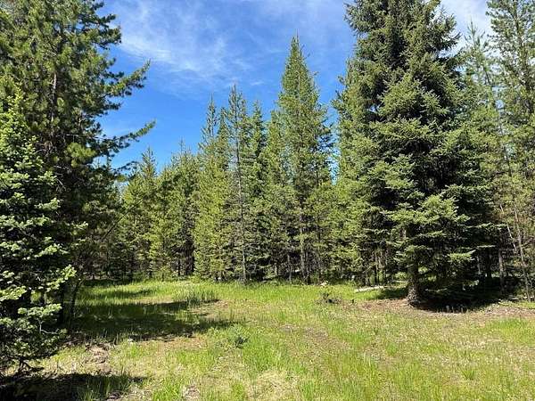 16 Acres of Recreational Land for Sale in Seeley Lake, Montana