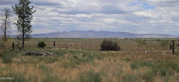 52.2 Acres of Land for Sale in McNeal, Arizona