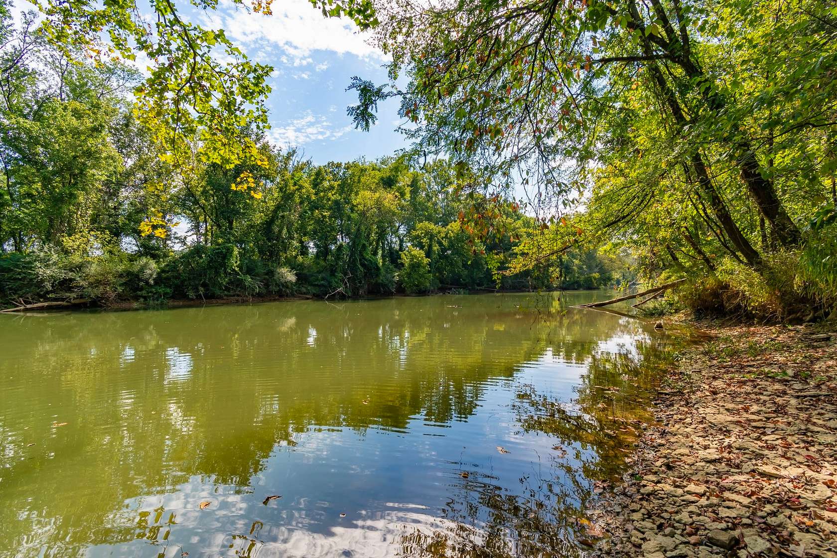 7.4 Acres of Land for Sale in Linden, Tennessee