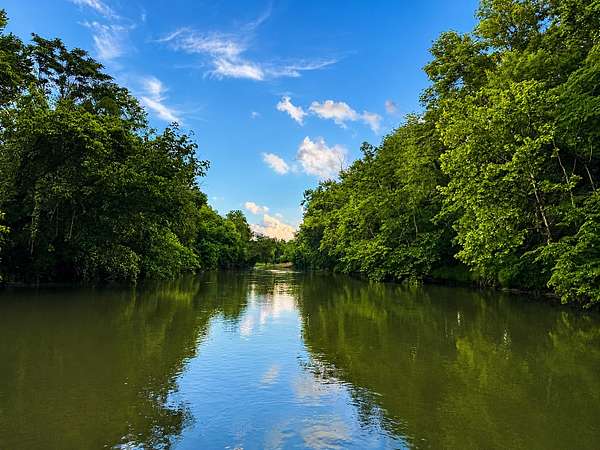 7.4 Acres of Land for Sale in Linden, Tennessee