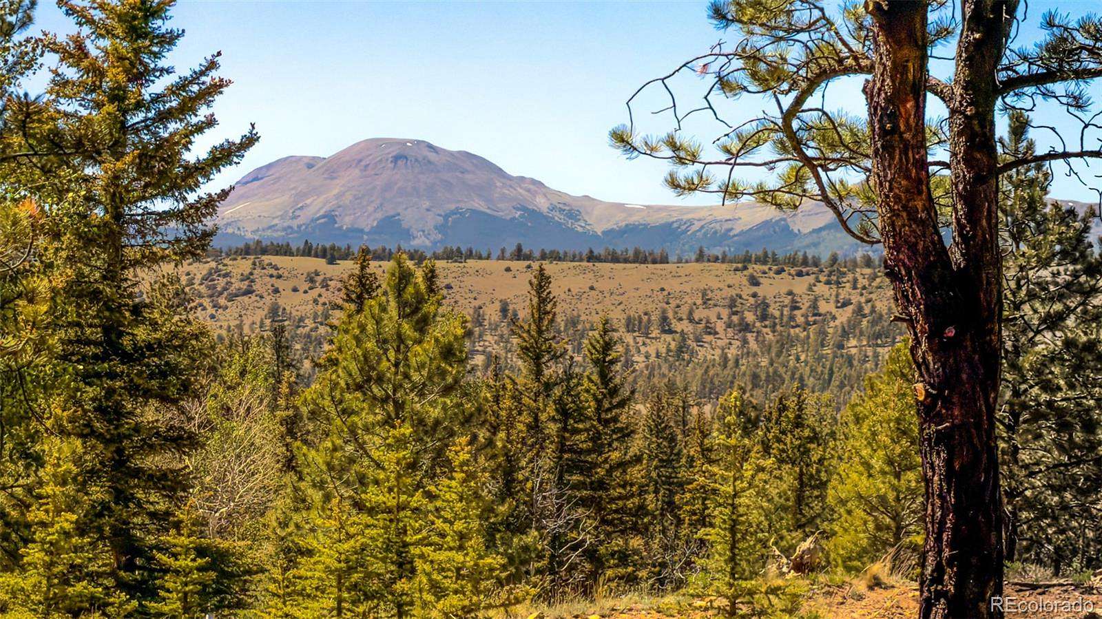 2.5 Acres of Residential Land for Sale in Buena Vista, Colorado
