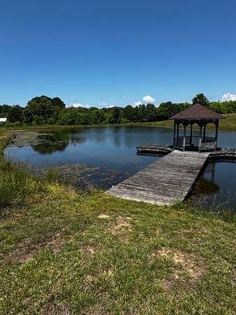 8.5 Acres of Land for Auction in Dutton, Alabama