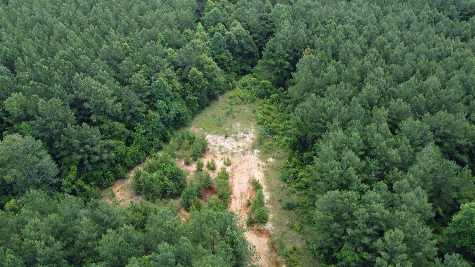 46.4 Acres of Land for Sale in Mount Hermon, Louisiana