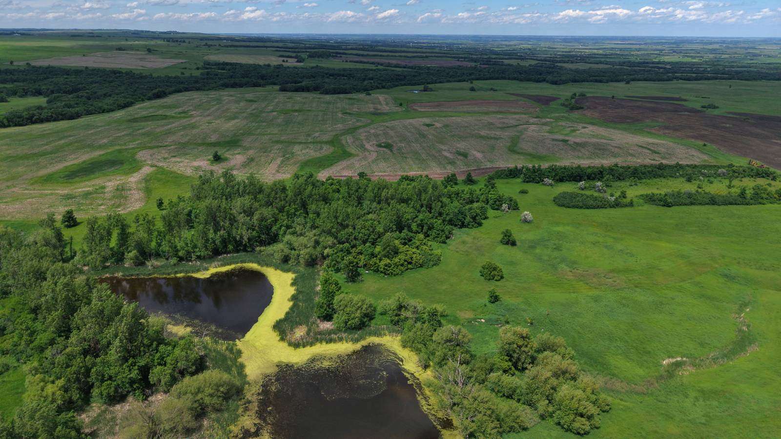 440 Acres of Agricultural Land for Sale in Sisseton, South Dakota