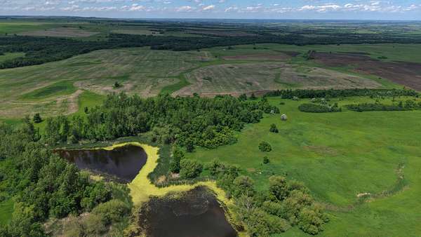 440 Acres of Agricultural Land for Sale in Sisseton, South Dakota
