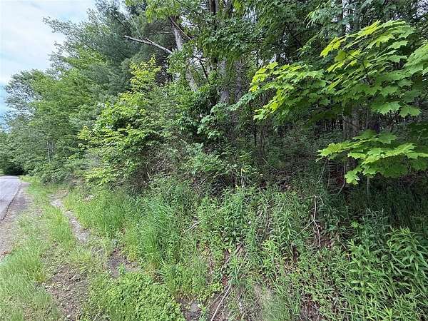 19.8 Acres of Recreational & Residential Land for Sale in Binghamton, New York