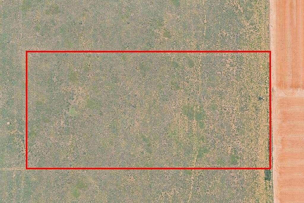 10.3 Acres of Land for Sale in Seagraves, Texas