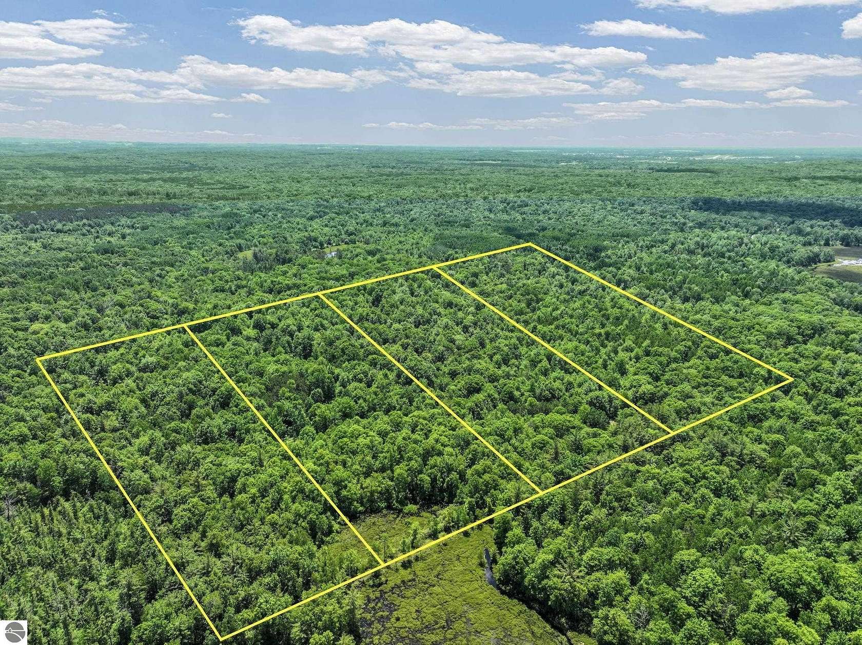 20 Acres of Recreational & Residential Land for Sale in Lake City, Michigan