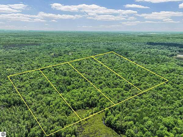 20 Acres of Recreational & Residential Land for Sale in Lake City, Michigan
