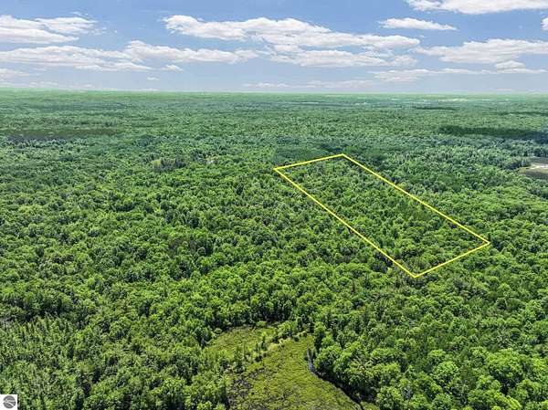20 Acres of Recreational & Residential Land for Sale in Lake City, Michigan
