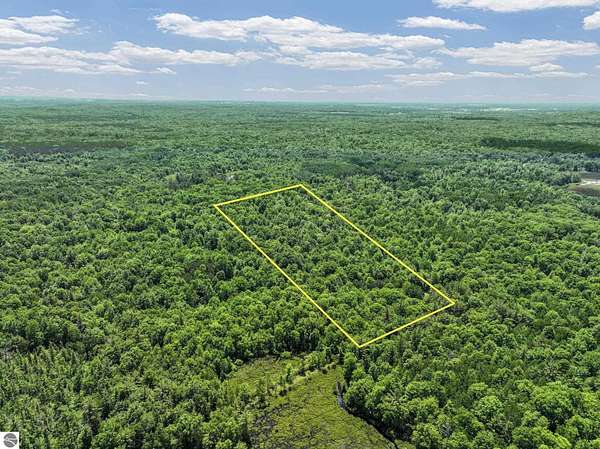 20 Acres of Recreational & Residential Land for Sale in Lake City, Michigan