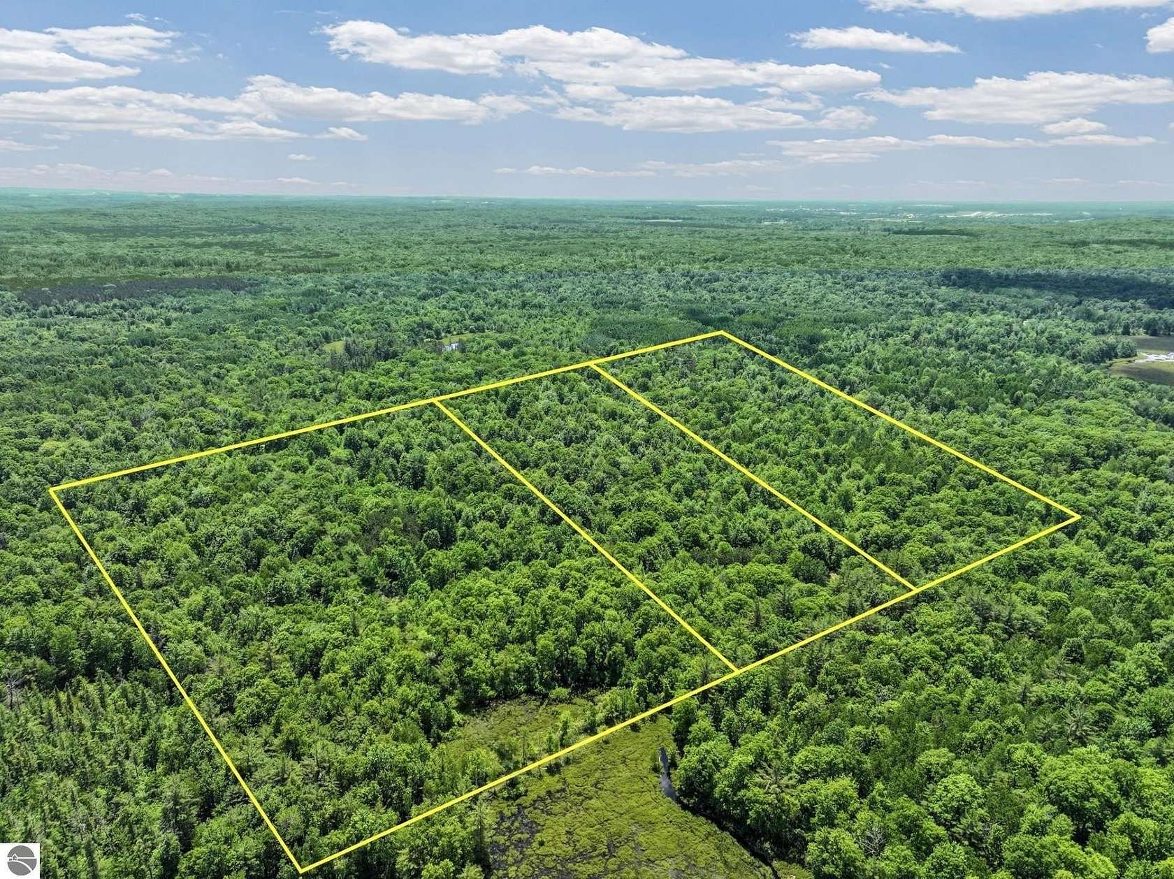 40 Acres of Recreational & Residential Land for Sale in Lake City, Michigan