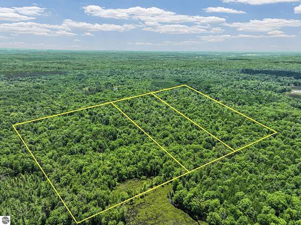 40 Acres of Recreational & Residential Land for Sale in Lake City, Michigan