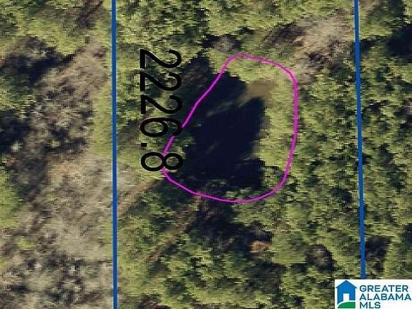 7.8 Acres of Residential Land for Sale in Ashville, Alabama