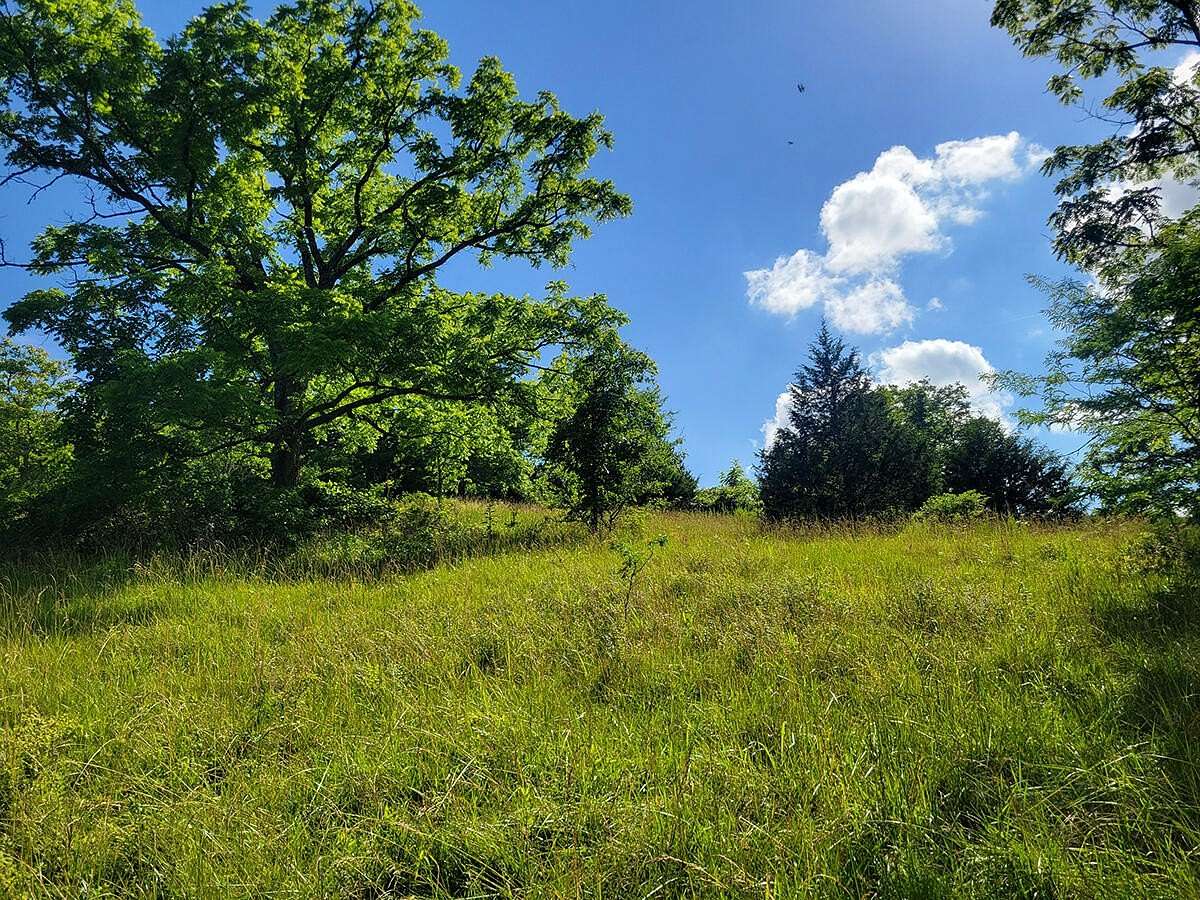 25 Acres of Recreational Land for Sale in Chadwick, Missouri