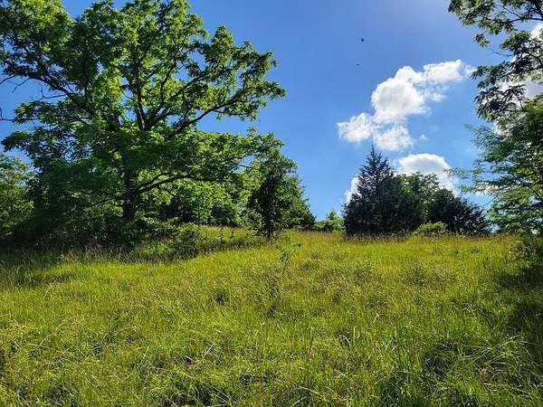 25 Acres of Recreational Land for Sale in Chadwick, Missouri
