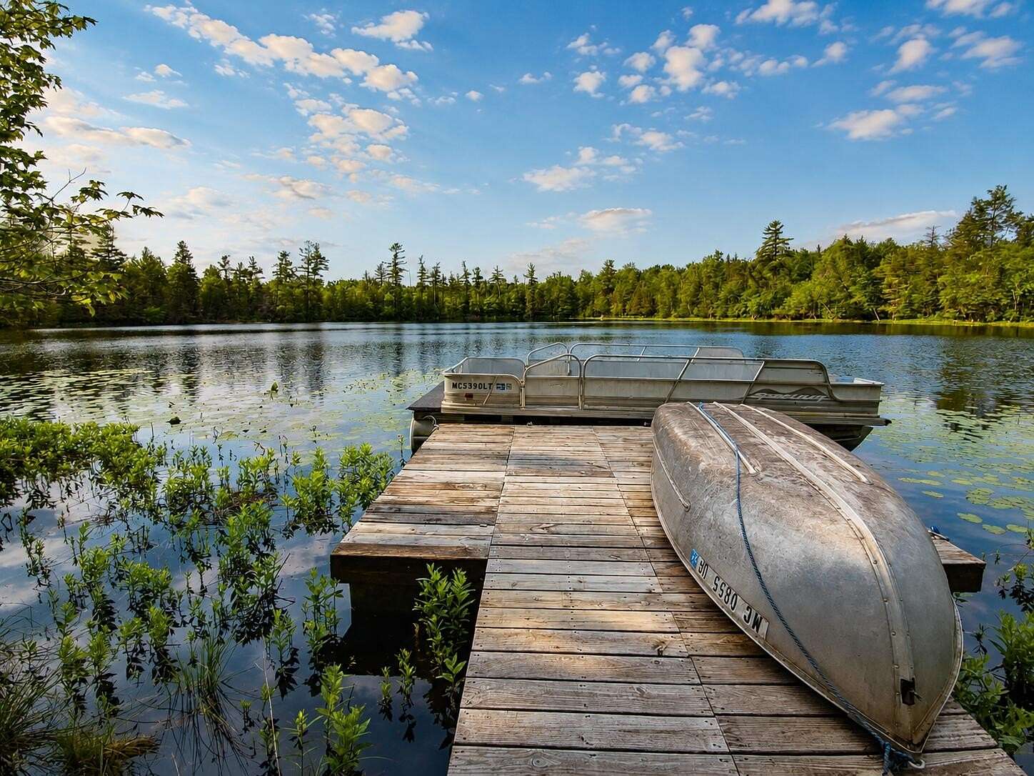 21.8 Acres of Recreational & Residential Land for Sale in Rothbury, Michigan
