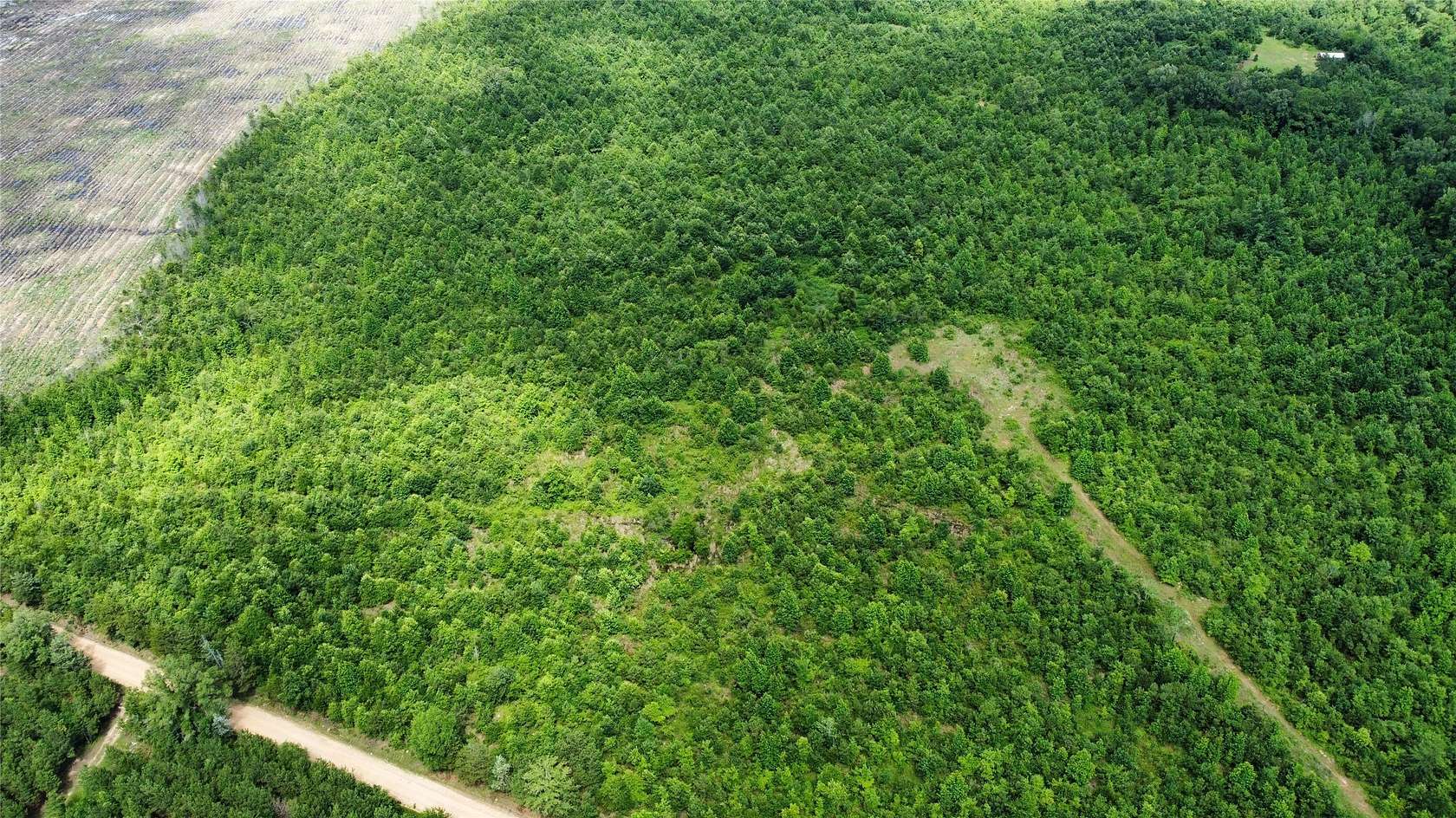 30 Acres of Land for Sale in De Kalb, Texas