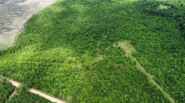 30 Acres of Land for Sale in De Kalb, Texas