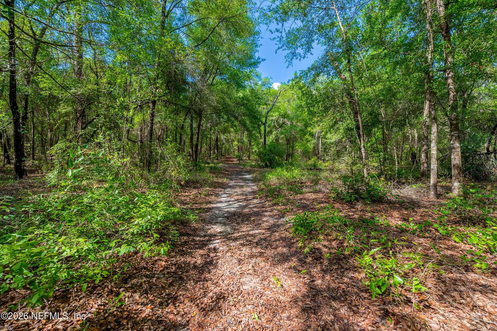 7.35 Acres of Residential Land for Sale in Keystone Heights, Florida