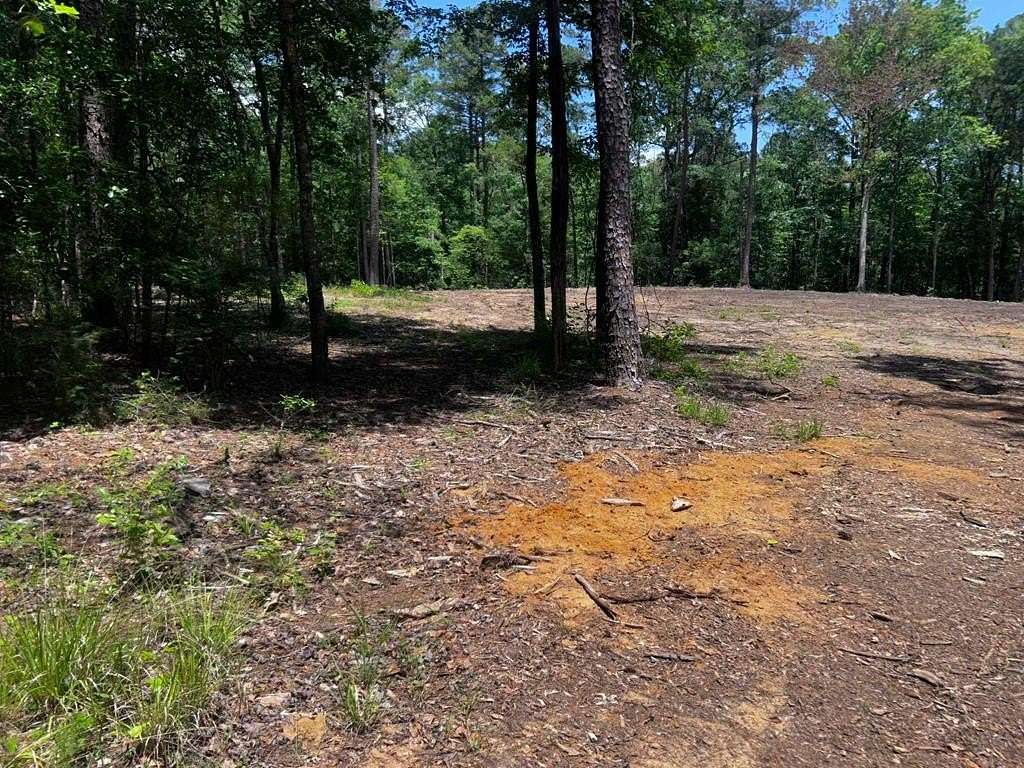 10 Acres of Residential Land for Sale in Ozark, Alabama