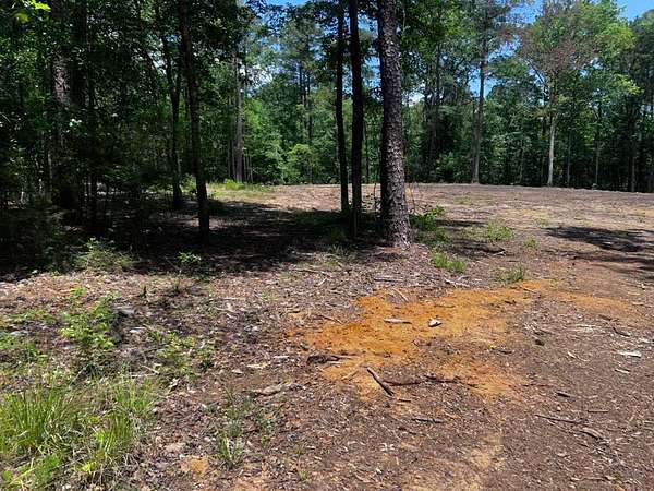 10 Acres of Residential Land for Sale in Ozark, Alabama