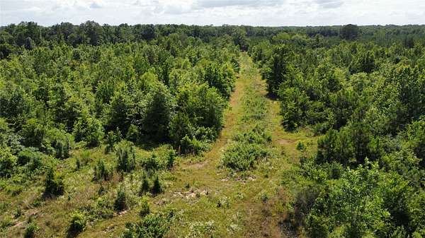 10 Acres of Recreational & Residential Land for Sale in De Kalb, Texas