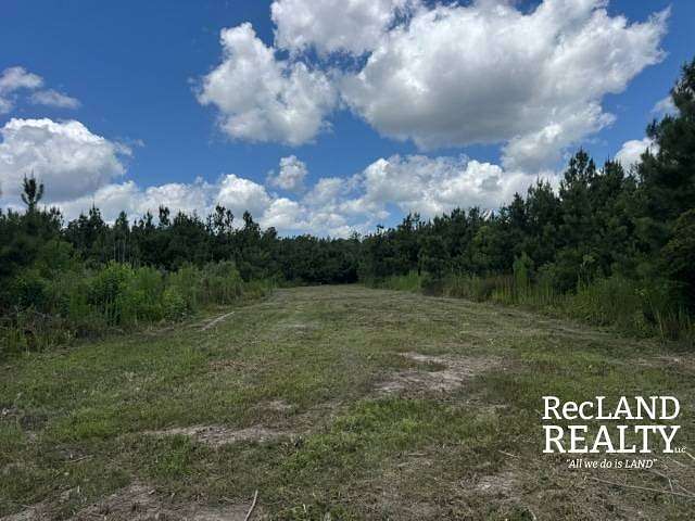 40 Acres of Recreational Land for Sale in Chatham, Louisiana
