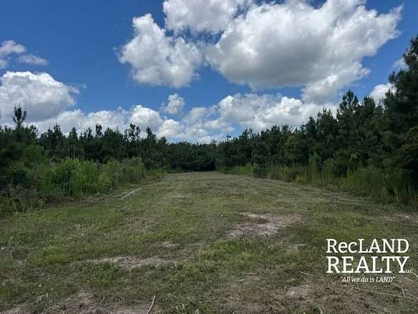 40 Acres of Recreational Land for Sale in Chatham, Louisiana