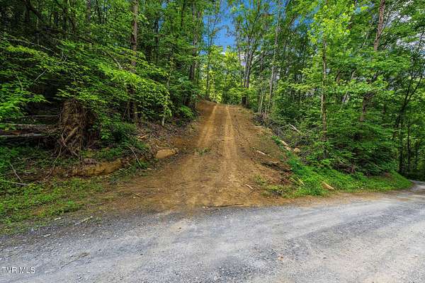 22 Acres of Land for Sale in Rogersville, Tennessee