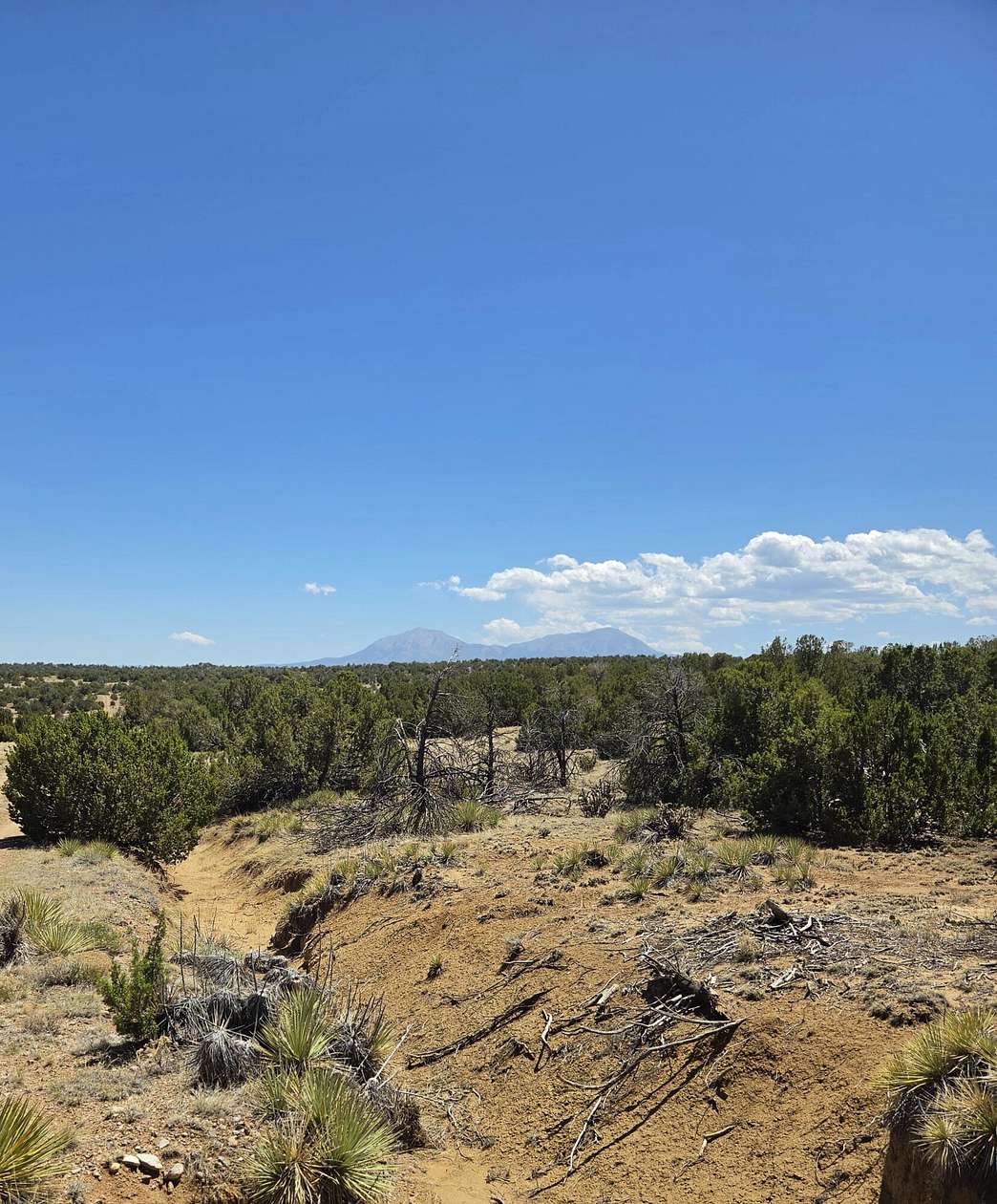 2 Acres of Land for Sale in Walsenburg, Colorado