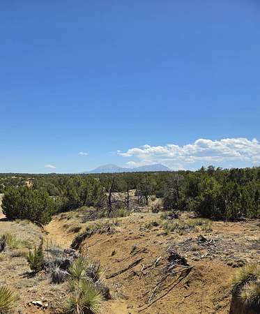 2 Acres of Land for Sale in Walsenburg, Colorado