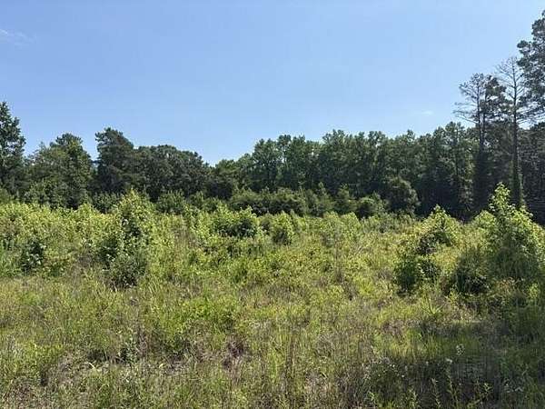2.6 Acres of Residential Land for Sale in Alcolu, South Carolina