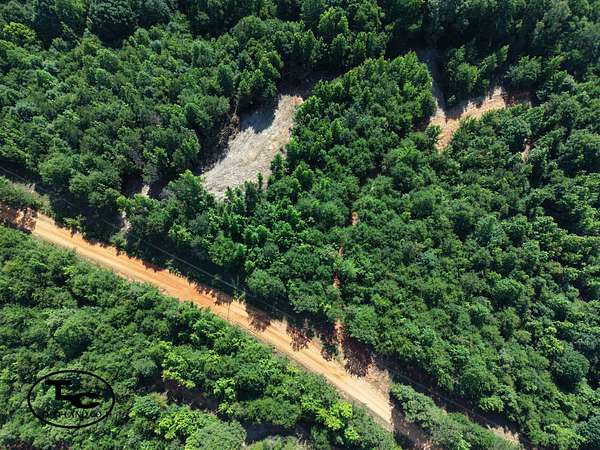 24 Acres of Recreational & Residential Land for Sale in Marion, Alabama
