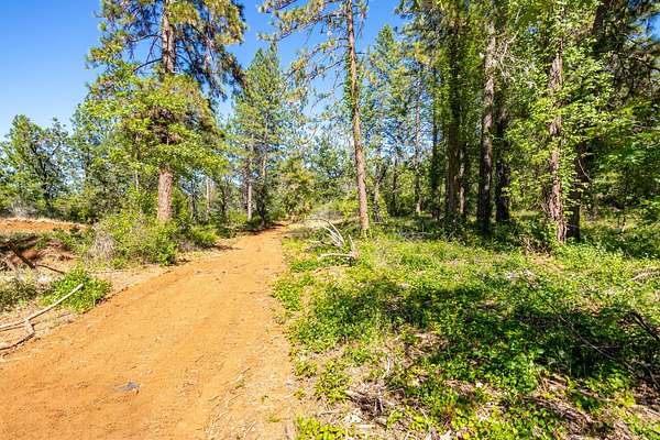 59.8 Acres of Recreational & Residential Land for Sale in Shingletown, California