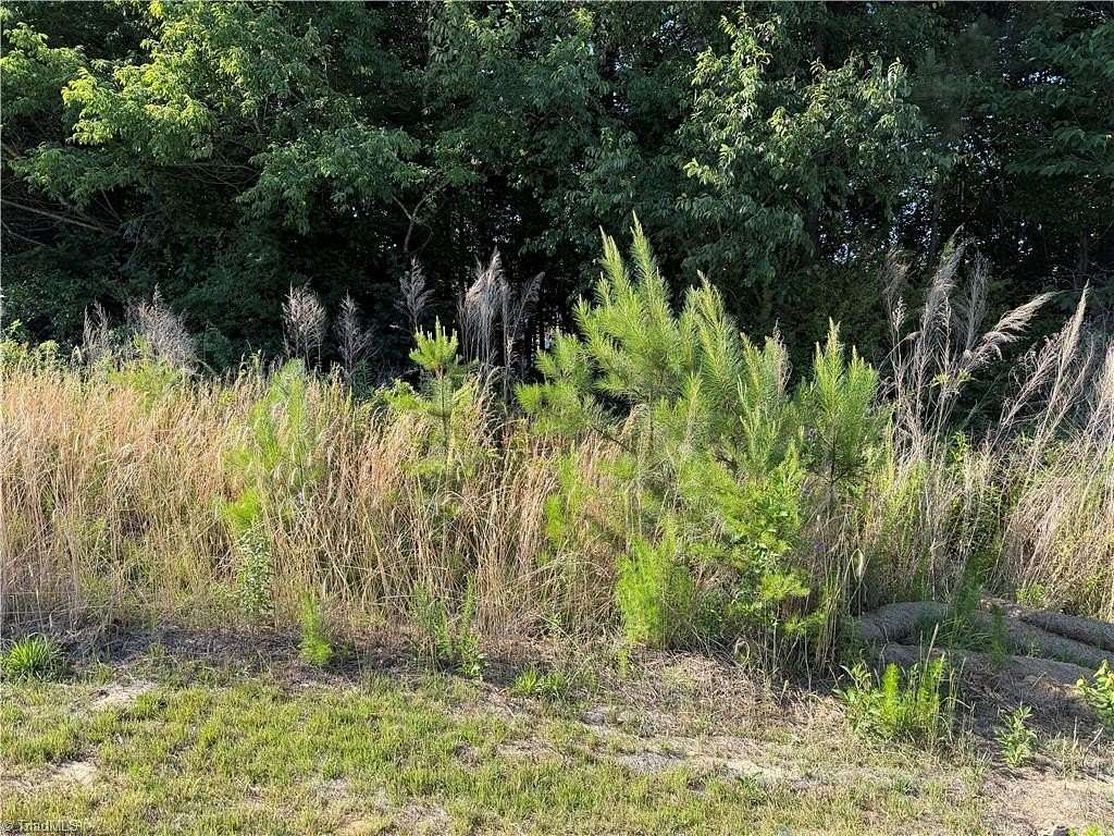 0.8 Acres of Residential Land for Sale in Lexington, North Carolina