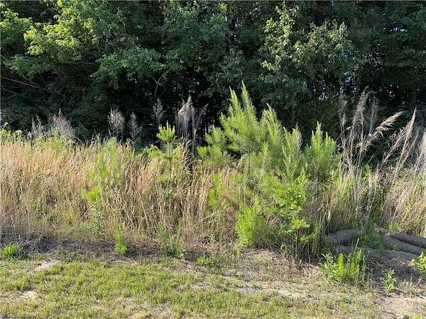0.8 Acres of Residential Land for Sale in Lexington, North Carolina