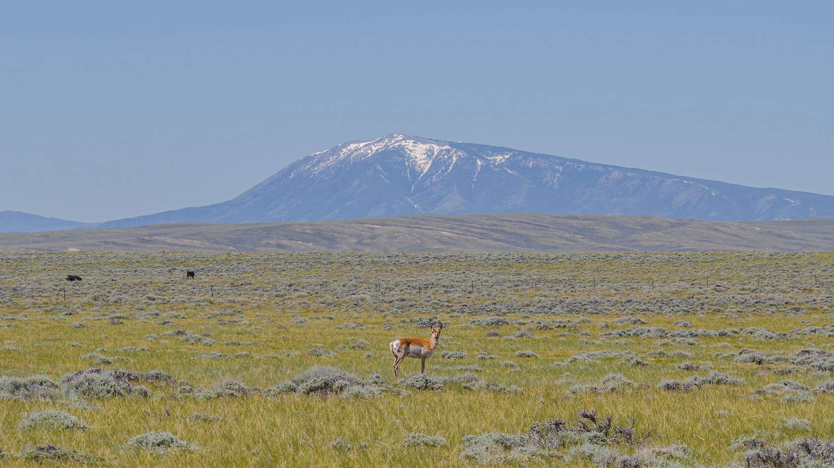 651 Acres of Improved Recreational Land for Sale in Medicine Bow, Wyoming