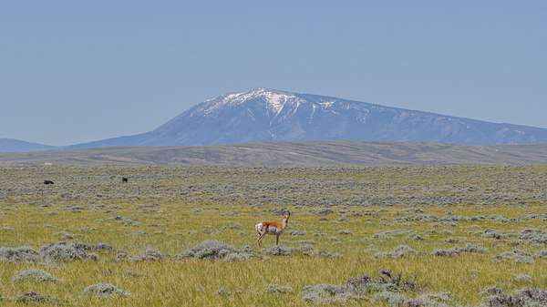 651 Acres of Improved Recreational Land for Sale in Medicine Bow, Wyoming