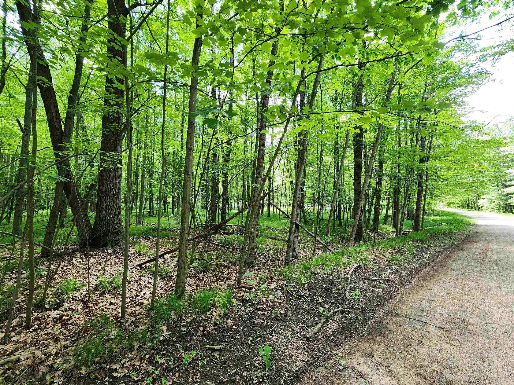 0.93 Acres of Residential Land for Sale in Farwell, Michigan